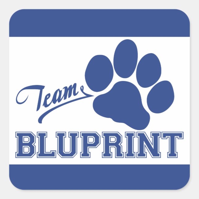 Stickers Carrés BluPrint Team (Devant)