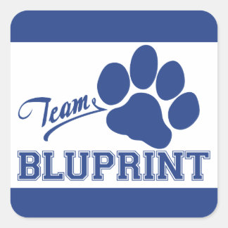 Stickers Carrés BluPrint Team
