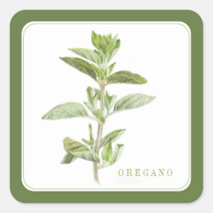 Stickers Carrés FRAIS OREGANO (+texte) Vert