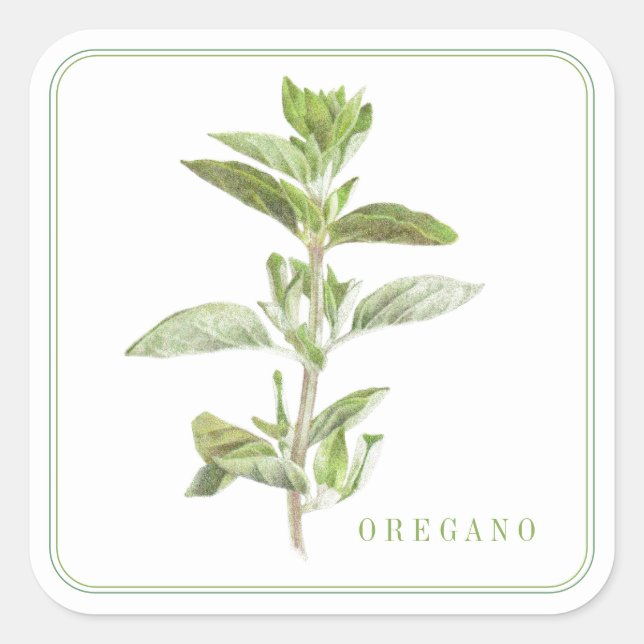 Stickers Carrés gros OREGANO FRAIS (Devant)