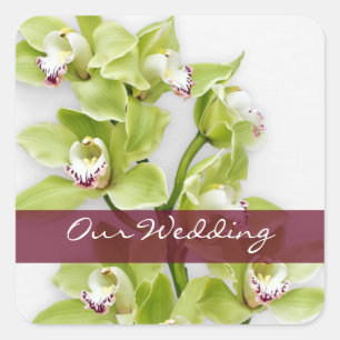 Stickers Carrés Mariages pour orchidées Green Cymb