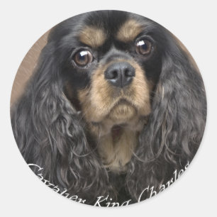 Stickers Cavalier King Charles Spaniel