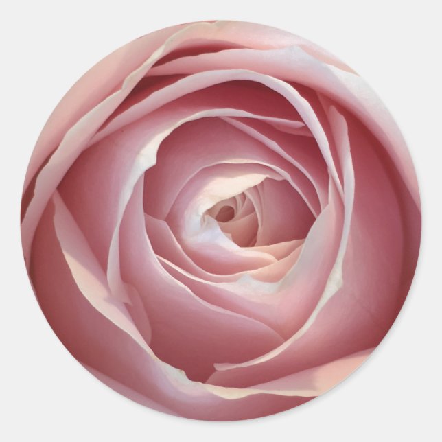 Stickers Cercle Rose (Devant)