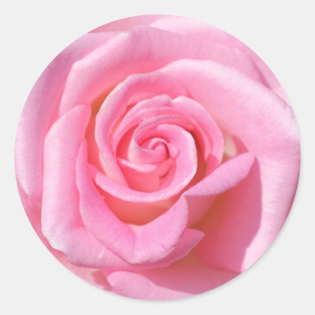 Stickers Cercle Rose (Devant)