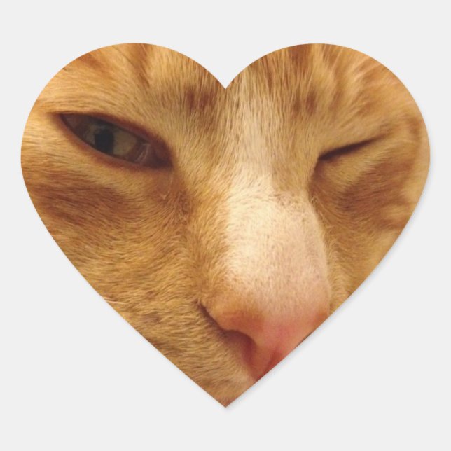 Stickers CGK (Devant)