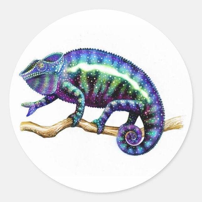 Stickers Chameleon Panther Homme Bleu (Devant)