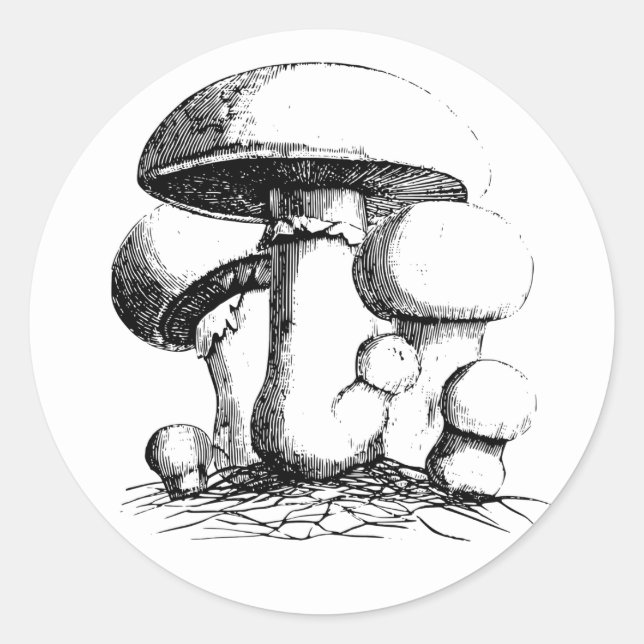 Stickers Champignons de prairie (Devant)