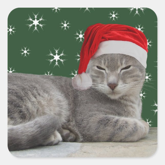 Stickers Chat de Noël (Devant)