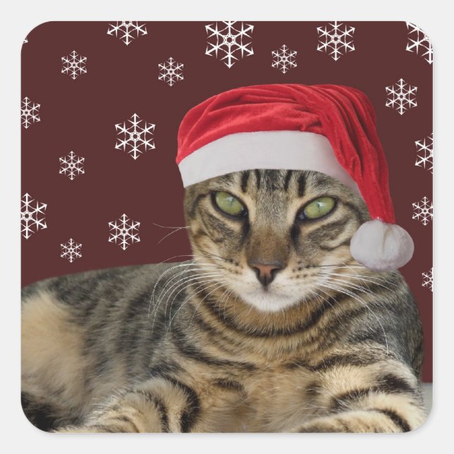 Stickers Chat de Noël (Devant)