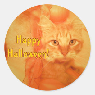 Stickers Chat Halloween