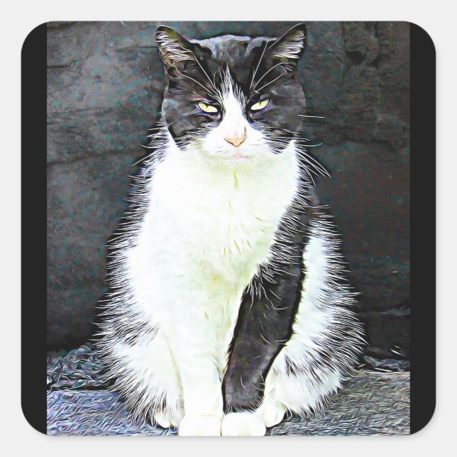Stickers Chat noir et blanc (Devant)