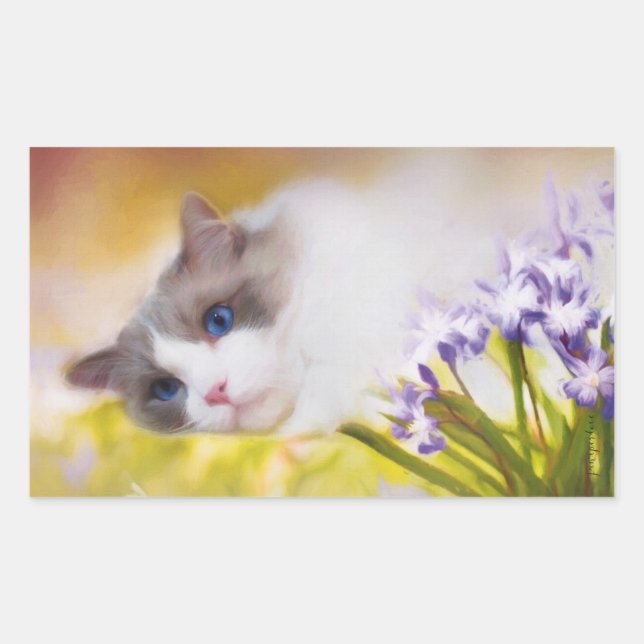 Stickers Chat Ragdoll (Devant)