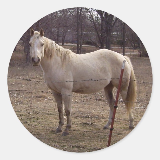 Stickers Cheval Blanc (Devant)