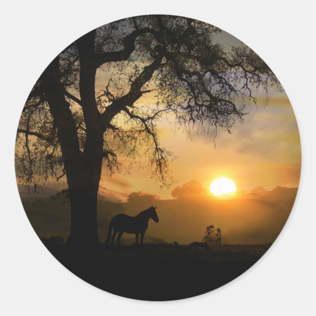 Stickers Cheval et Sunrise (Devant)