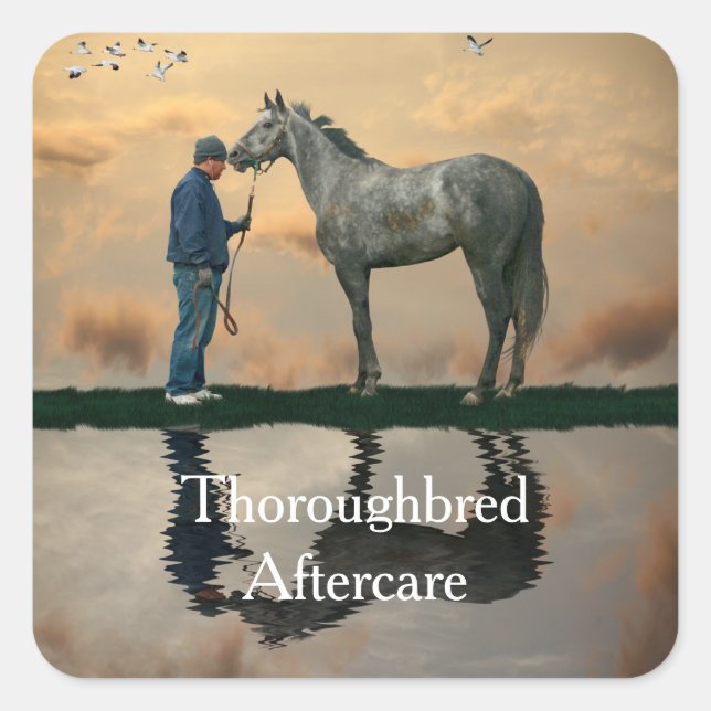 Stickers Cheval Gris Et Groom OTTB (Devant)