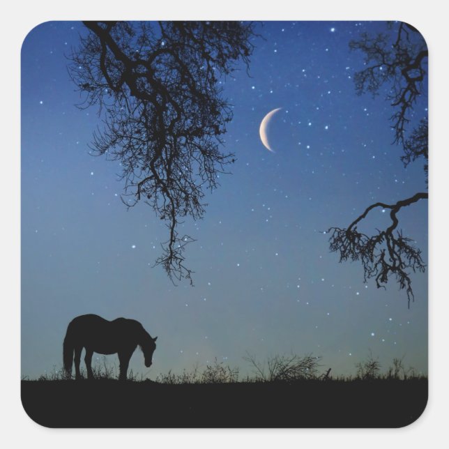 Stickers Cheval Horse et Crescent Moon Imaginaire (Devant)