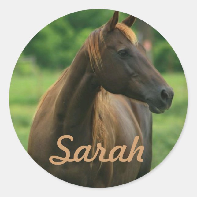 Stickers Cheval Personnalisés (Devant)