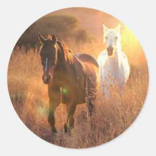 Stickers Cheval Sauvage Galloping