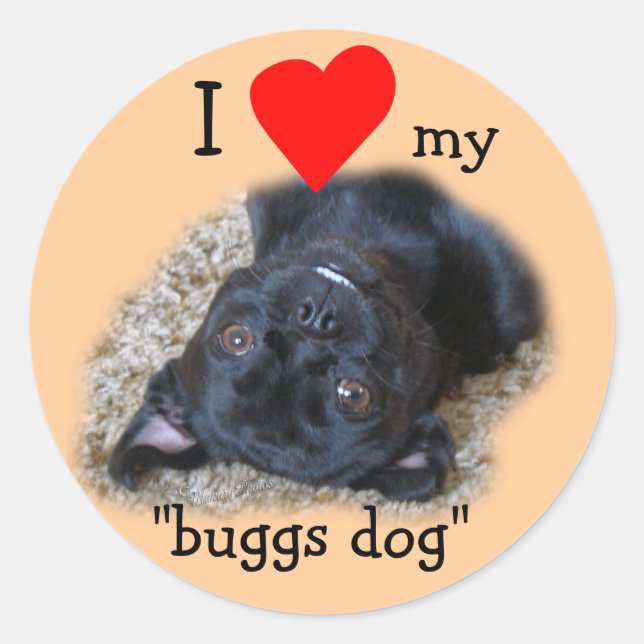 Stickers Chien de Bug - votre photo ou la mienne (Devant)