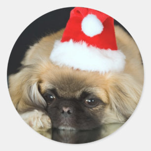 Stickers Chien de Noël mignons