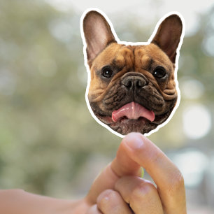 Stickers Chien personnalisé Stickers Visage Chien 