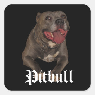 Stickers Chien Pitbull