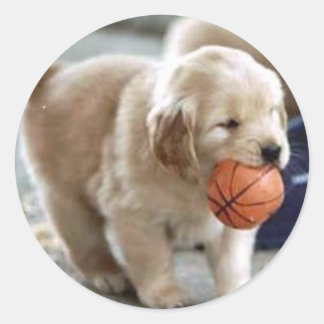 Stickers Chiot