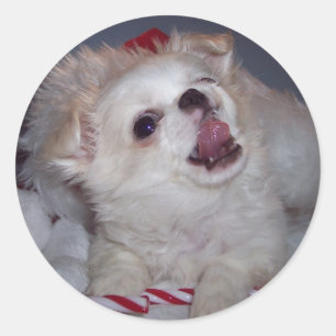 Stickers Chiot de Noël