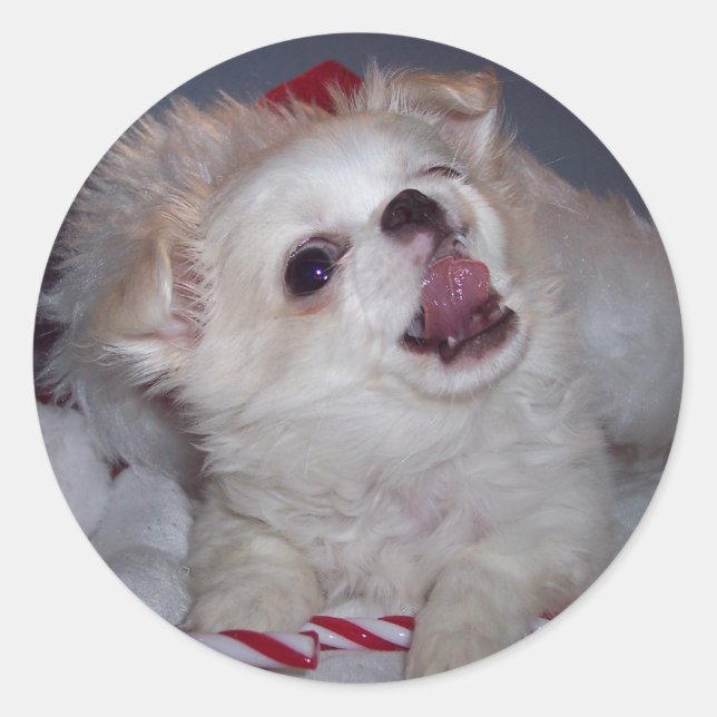 Stickers Chiot de Noël (Devant)