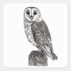 Stickers Chouette 2