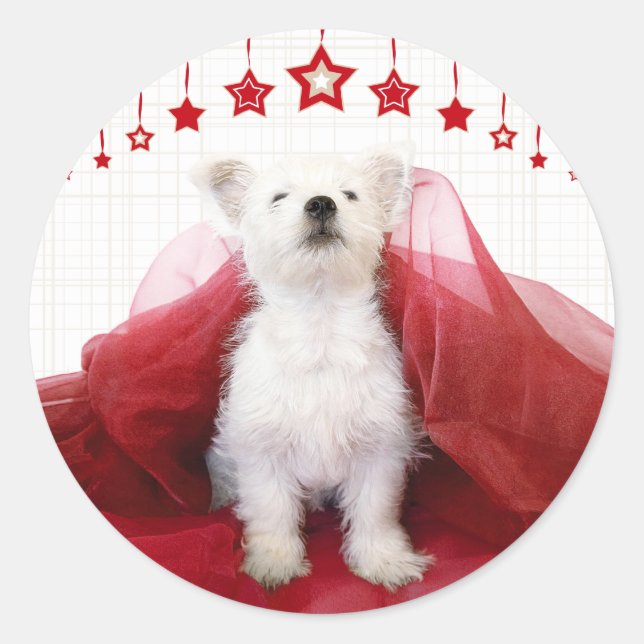 Stickers Christmas Westie Stars (Devant)