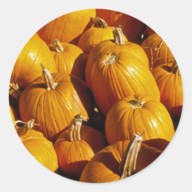 Stickers citrouilles (Devant)