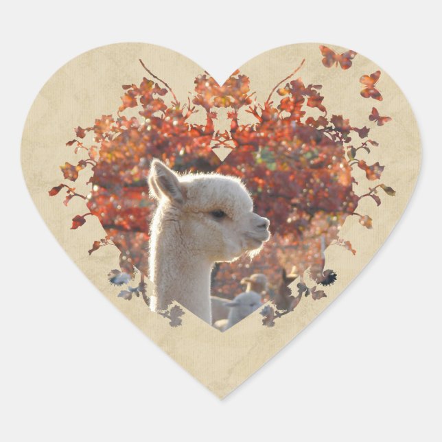 Stickers Coeur Alpaca (Devant)
