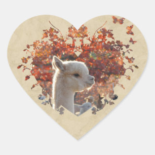 Stickers Coeur Alpaca