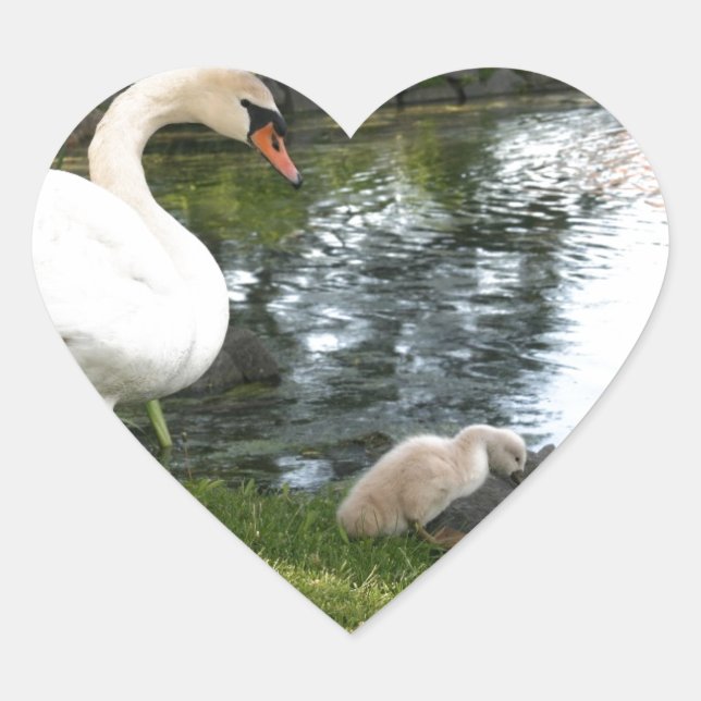 Stickers Coeur Cygne et Cygnet (Devant)