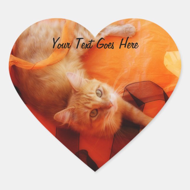 Stickers Coeur Halloween Kitty (Devant)