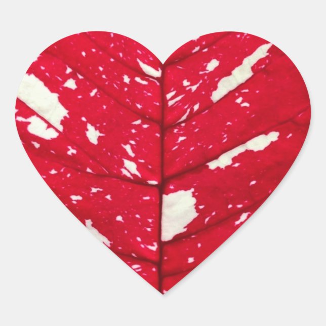Stickers Coeur Poinsettia Feuille (Devant)