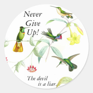 Stickers Colibris Goulds