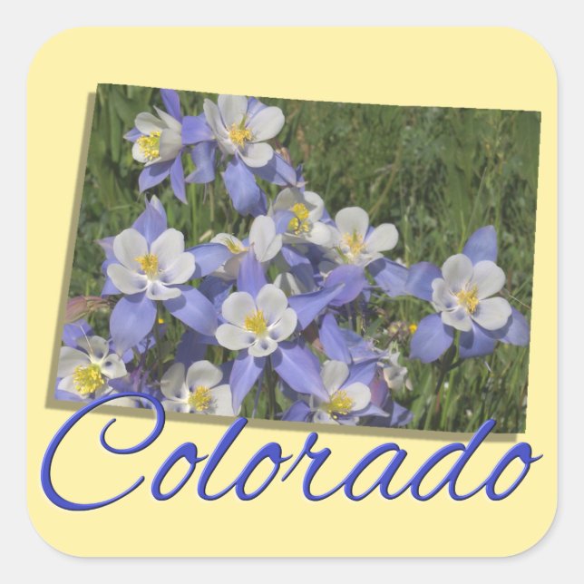Stickers - COLORADO (Devant)