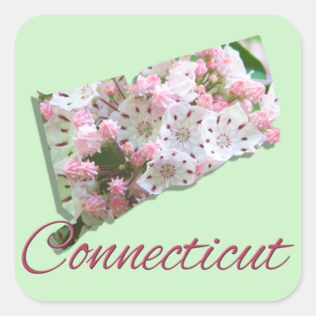 Stickers - CONNECTICUT (Devant)