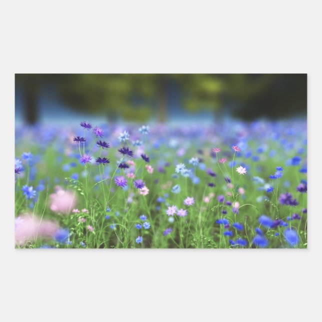 Stickers Cornflower Blue (Devant)