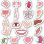 STICKERS CORPORELS HUMAINS<br><div class="desc">STICKERS CORPORELS HUMAINS</div>