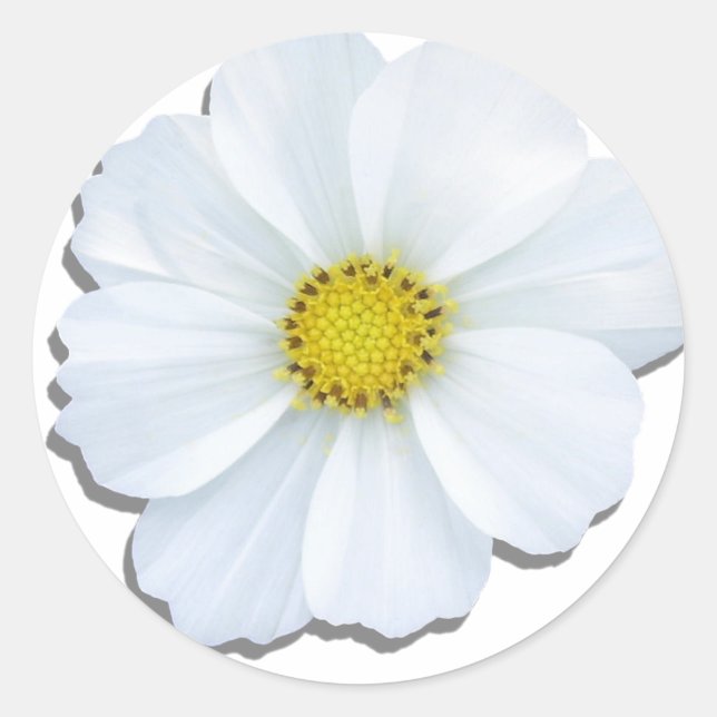 Stickers - Cosmos blancs (Devant)