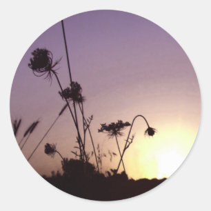 Stickers Coucher de soleil