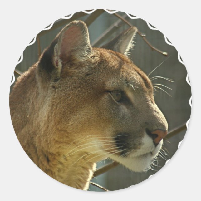 Stickers Cougar Puma (Devant)