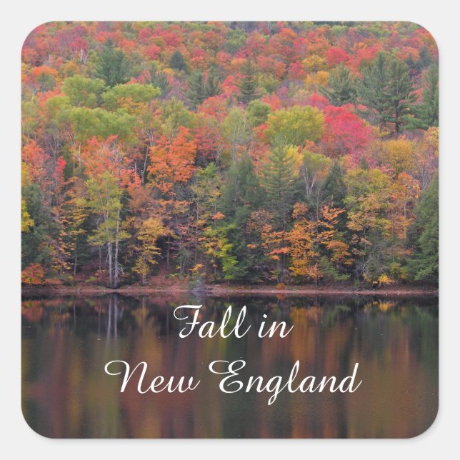 Stickers Couleur automne Feuilles automne (Devant)