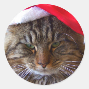 Stickers Cranky Christmas Cat