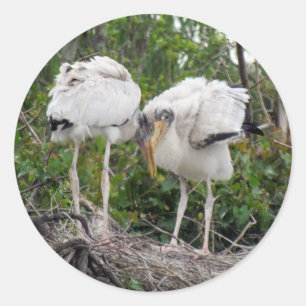 Stickers Crazy Wood Stork