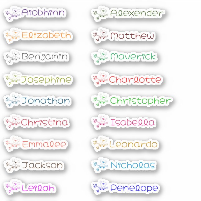 Stickers Cute Koala Custom Multiple Names (Devant)