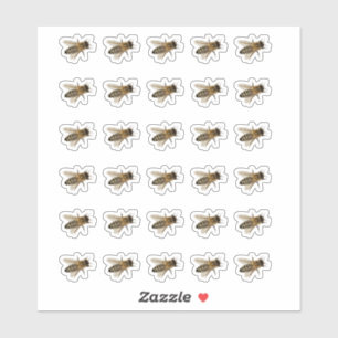 Stickers d'abeilles blanches ou transparentes
